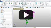 I.Morph Features