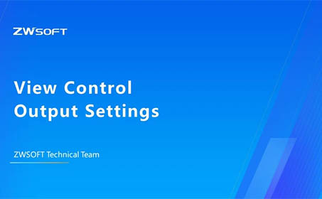 04_View Control Output Settings