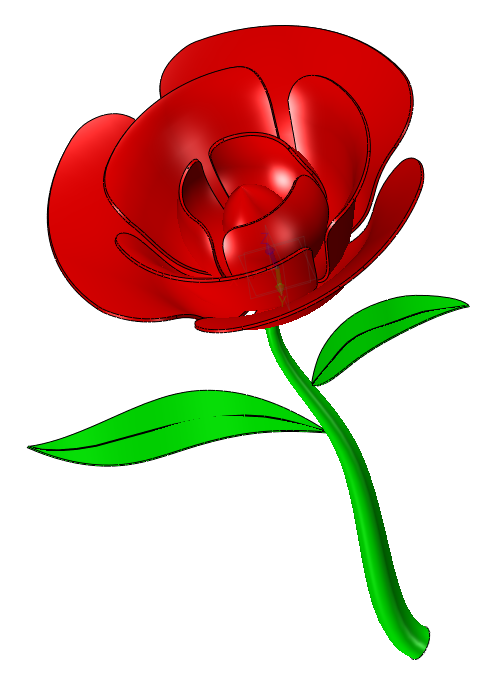 Red rose