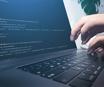 Report Vulnerabilities