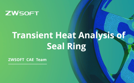 Transient Heat Analysis of Seal Ring